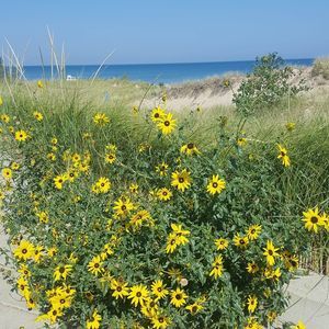 Meet your Posher, Mitch